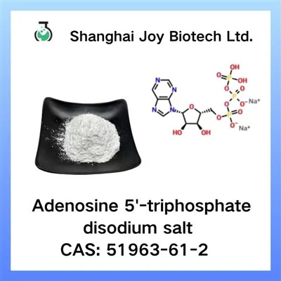 Adénosine 5'-triphosphate sel disodique CAS 51963-61-2